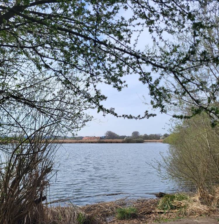 Ferienwohnung  Dieburg