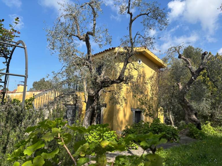 Claudio Marcello Ventrella: La Torretta — photo 4