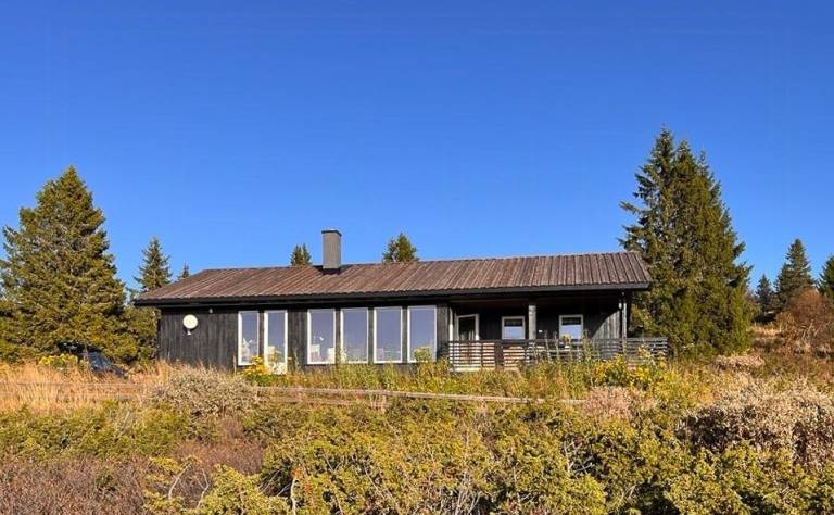 House with yard, sauna & patio | Perfect for remote work — photo 2