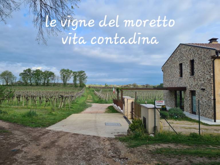 foto39