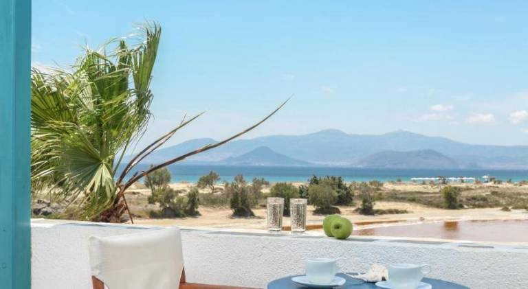 Children-friendly beautiful holiday apartment with yard, BBQ & patio | Beach nearby | Dogs allowed in Naxos