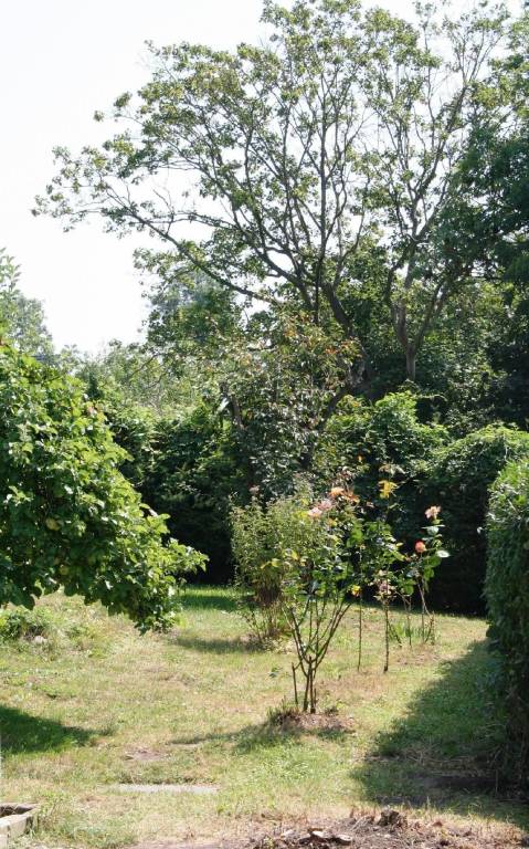 foto17