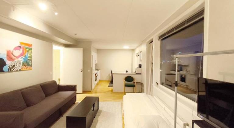 Apartment | Close to Storting building | Dogs allowed — photo 2