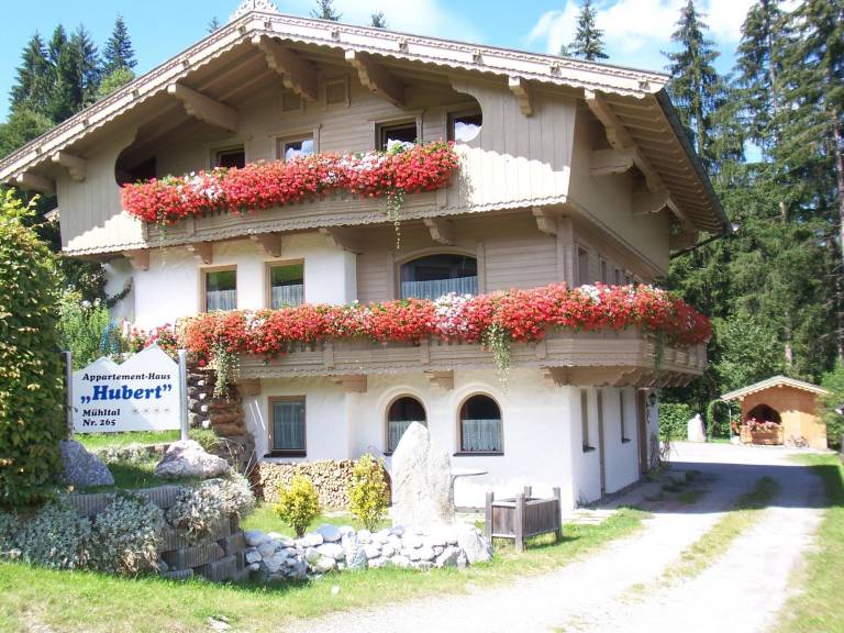 Holiday apartment with terrace | Mountain view — photo 2