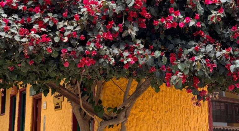 foto47