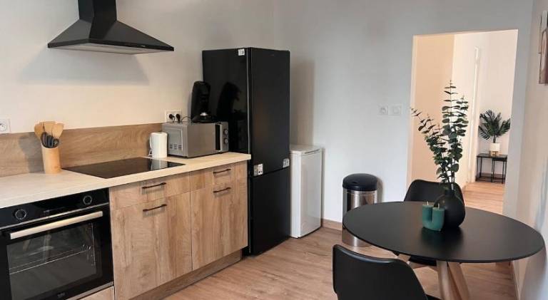 Apartment with 1 room for 2 persons in Roanne