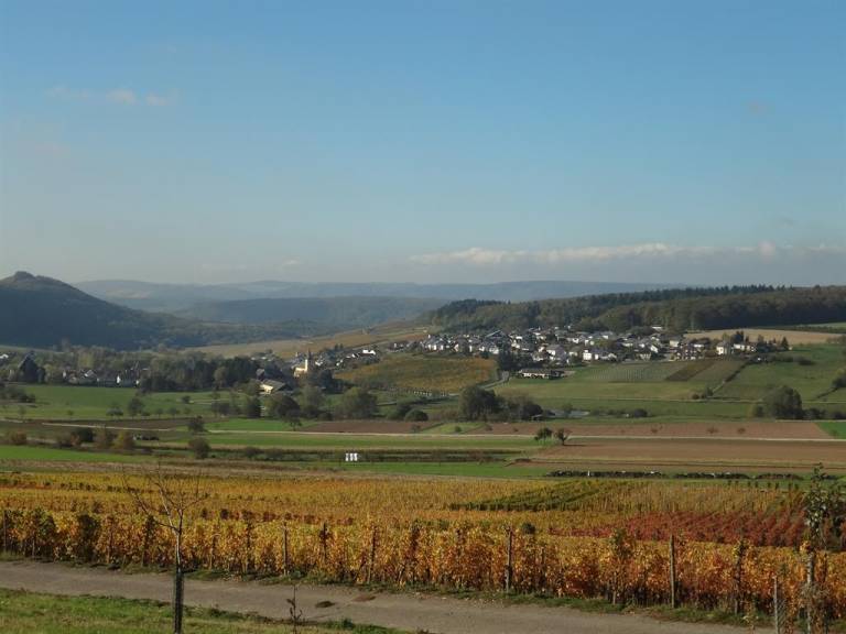 foto2
