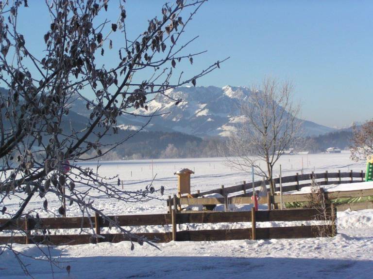 foto13