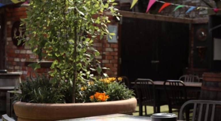foto7