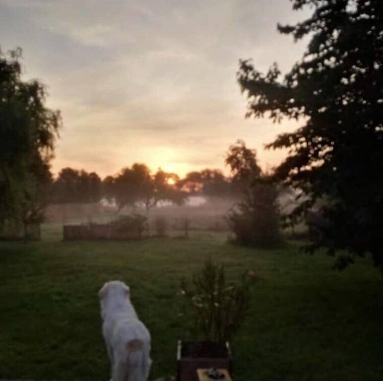 foto18