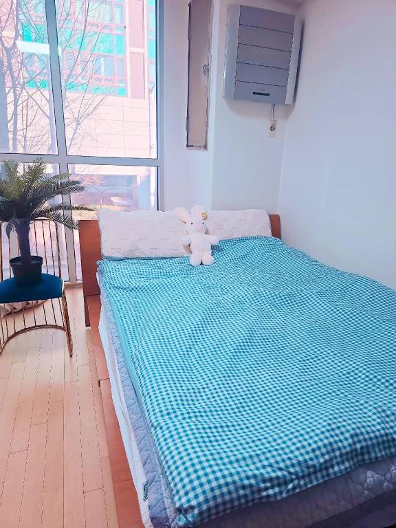 foto10
