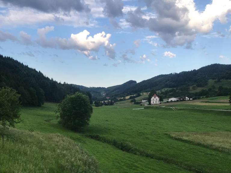 foto26