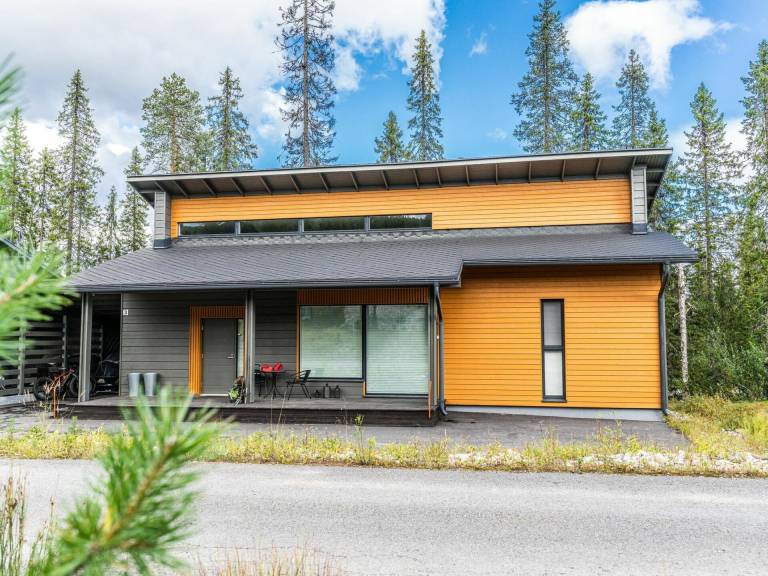 House Pudasjärvi