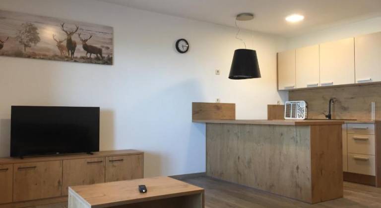 Lovely rental apartment | Pets allowed — photo 2