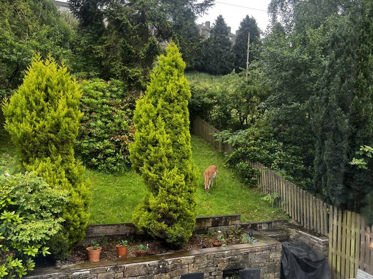 foto22