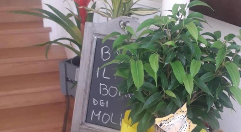 foto47
