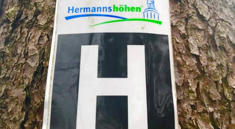foto43