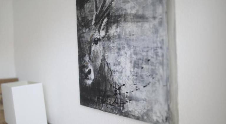 foto22