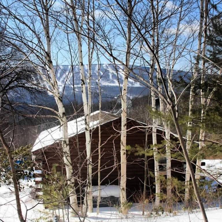 Cabin  Halcott Center