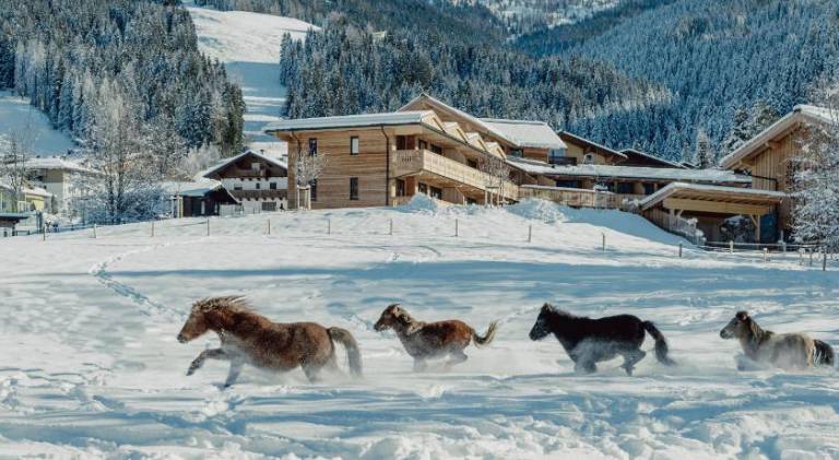 Lovely rental apartment with sauna, pool & patio | Ski nearby | Suitable for remote work | Pets allowed in Wagrain