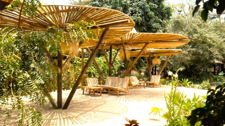 Jungle Pearl Resort — photo 5
