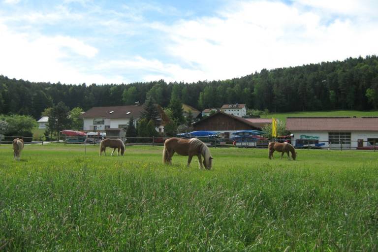 Ferienhaus Zandt