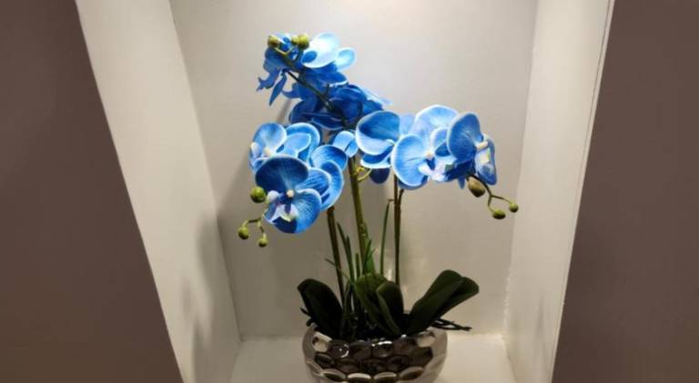 foto30