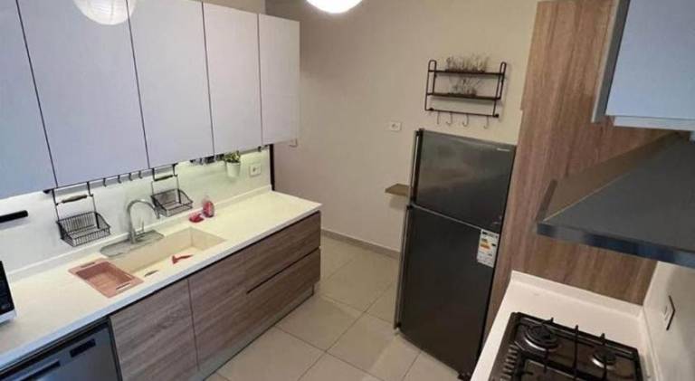 Illigh fully furnished apartment with terrace for rent — photo 2