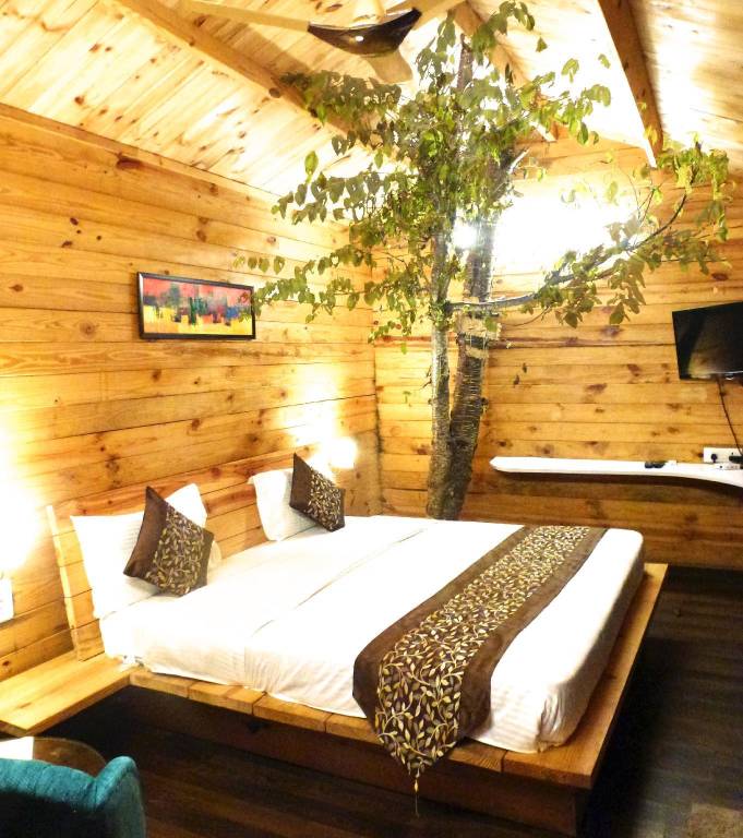 Resort Dhanachuli