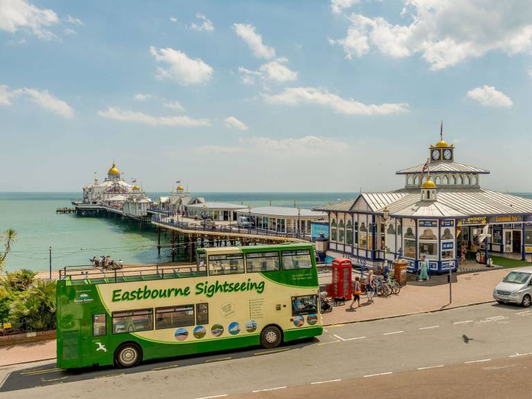 1 Bed in Eastbourne 88047