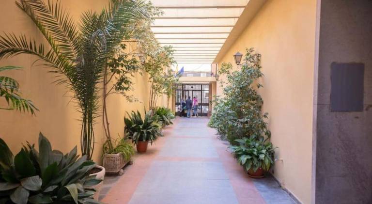 Holiday apartment | Next to Seville Cathedral — photo 3