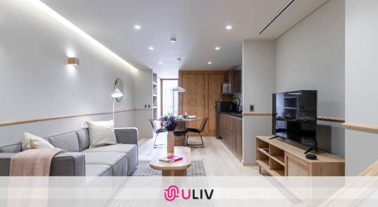 Holiday apartment with terrace | Dogs allowed in Mexico City