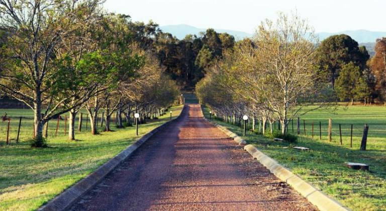 60 m&sup2; Ferienhaus