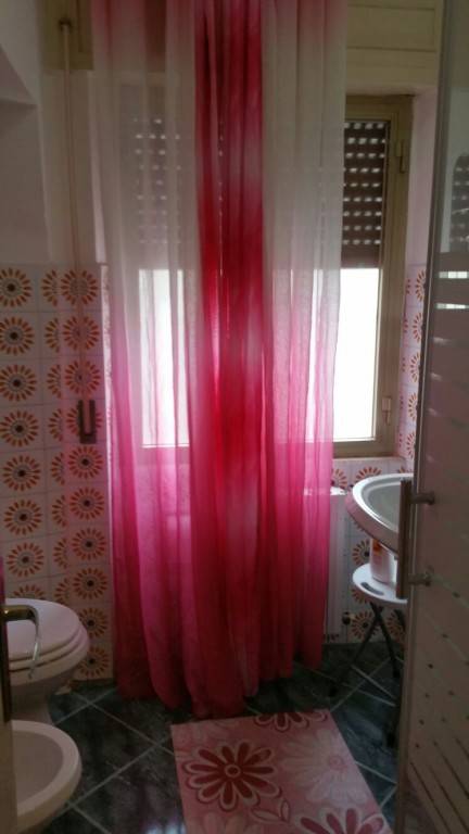 foto7