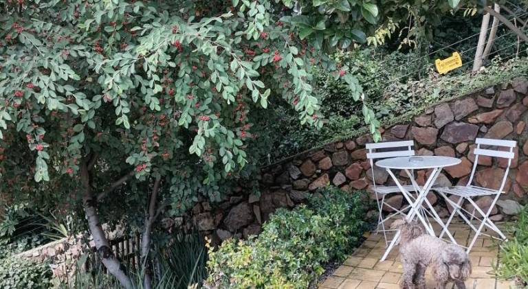 foto42