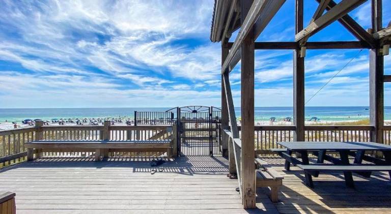 House with pool — photo 5