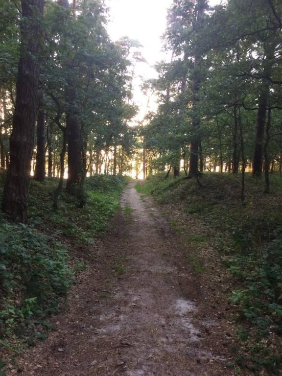 foto21