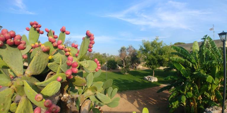 Nice rental with yard, grill & terrace | Pets allowed — photo 3
