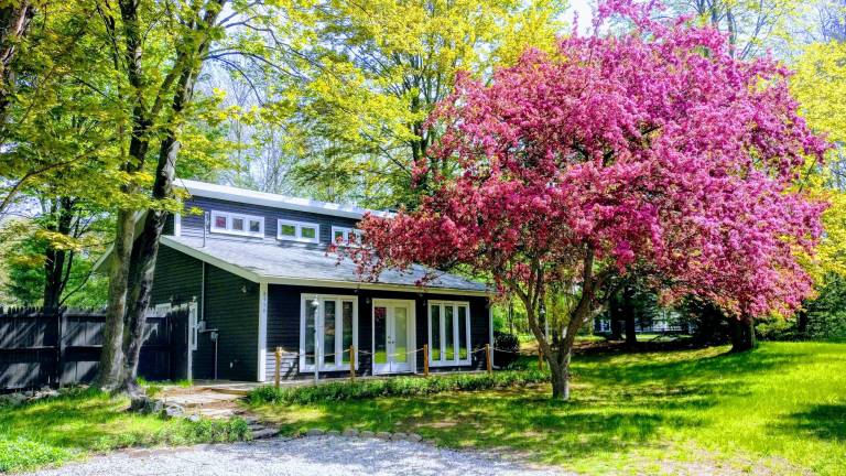 Cabin Shelby