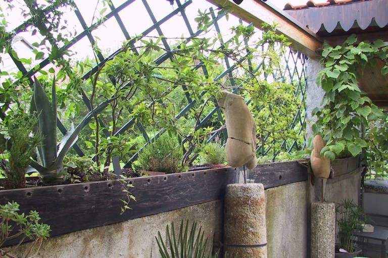 Bed & Breakfast La Pinetina