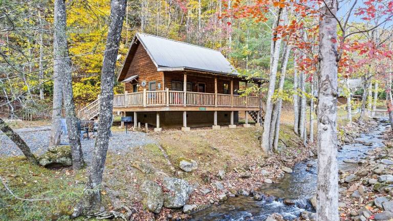Cabin Bryson City