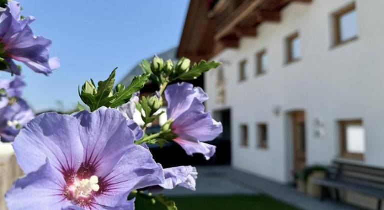 Landhaus Waldhart in Umhausen