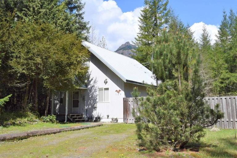 Cabin Packwood