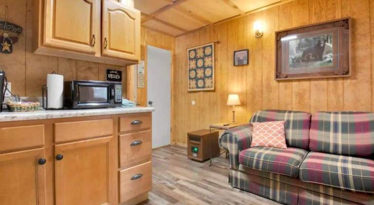 1BR Cabin in the Smokies Close to Gatlinburg — photo 3