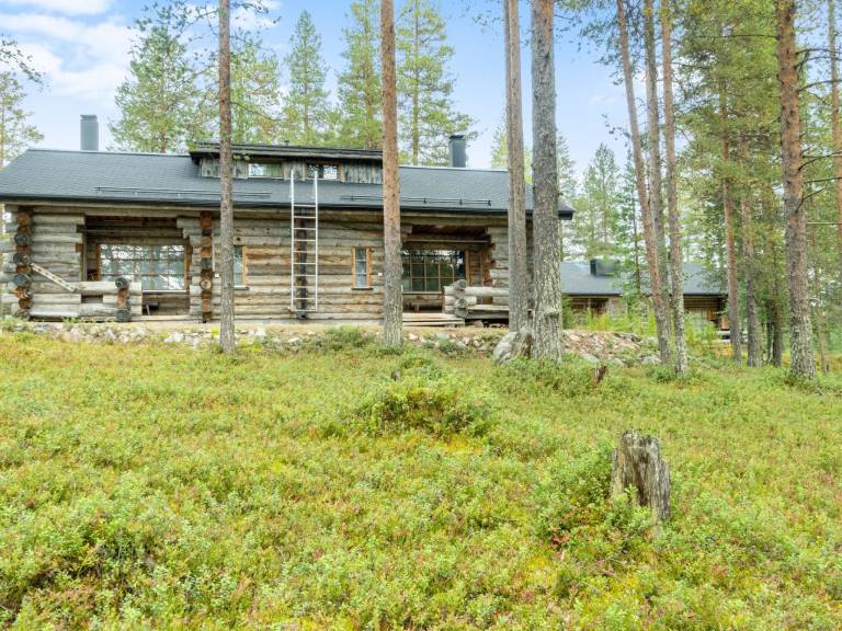 Vacation home with sauna — photo 3