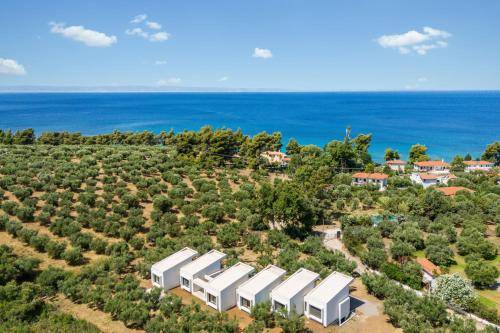 Apartment Elia Nikitis
