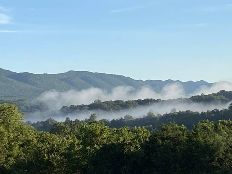 Cabin Luray