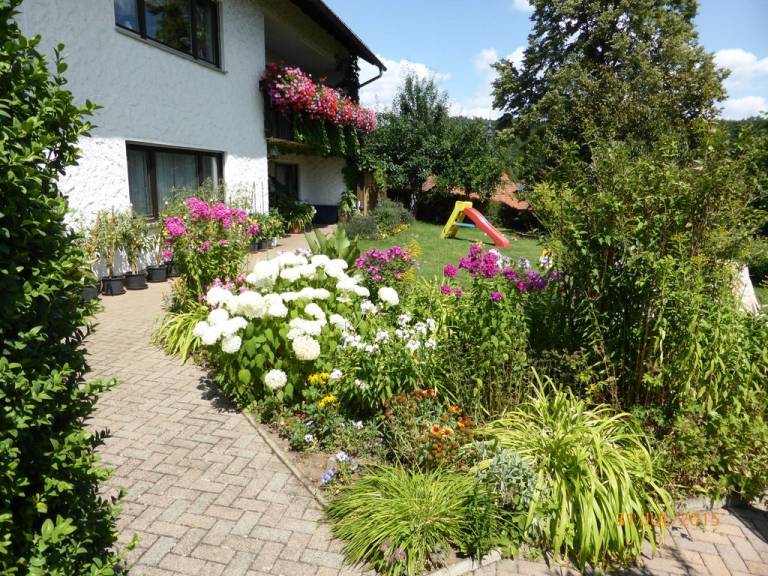 foto22