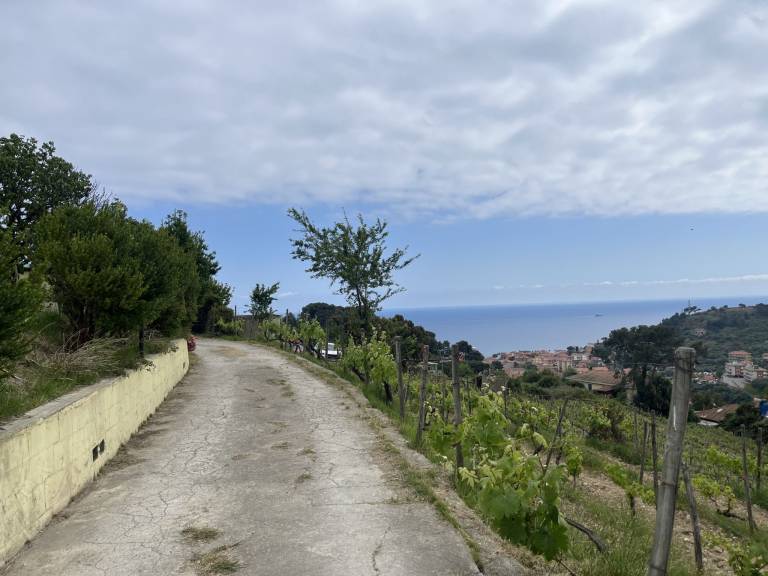 foto35