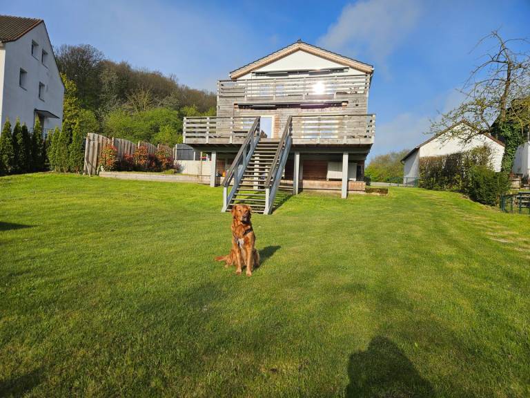 Naturverliebt – Waldblick – Sonnenterrasse. Familienfreundlich. Hund erlaubt. — photo 3